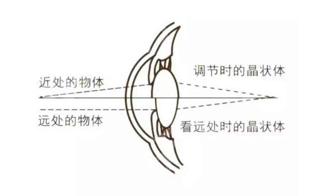 QQ截图20171121090020.png