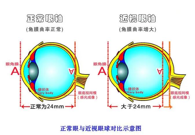 QQ截图20210224150504.jpg