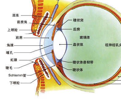 微信图片_20210323084318.png