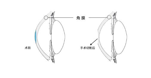 QQ截图20230526110746.jpg